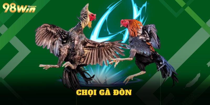 Đá Gà Đòn - Hình Thức Chọi Gà Hấp Dẫn Đặt Cược Uy Tín