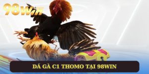 Đá Gà C1 Thomo - Lựa Chọn Giải Trí Đặt Cược Uy Tín Tại 98WIN