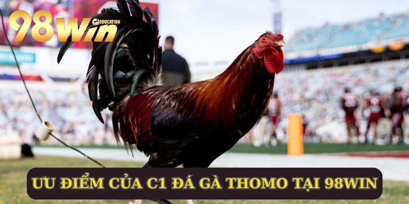 Điểm mặt gọi tên các ưu điểm của đấu kê Thomo 98WIN 