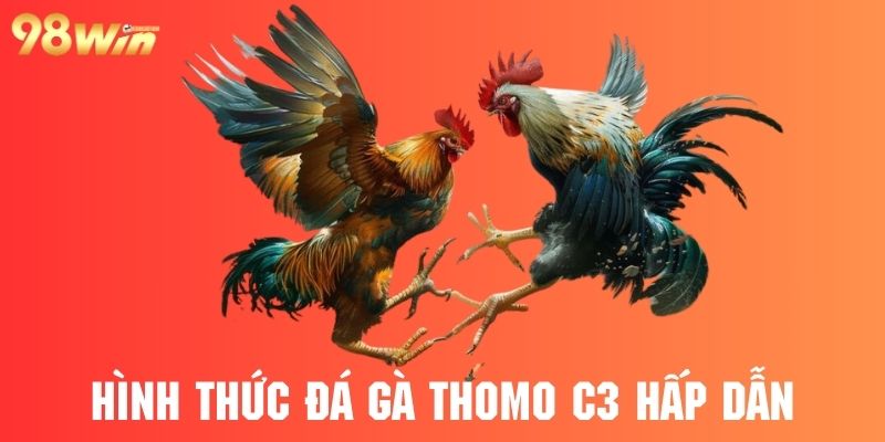 Sảnh đấu gà thomo c3 có nhiều hình thức hấp dẫn